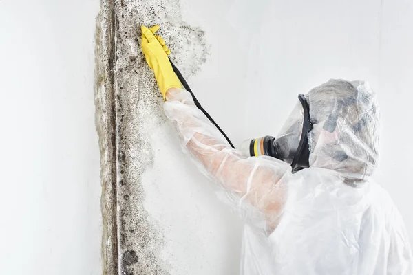 Man testing after mold remediation