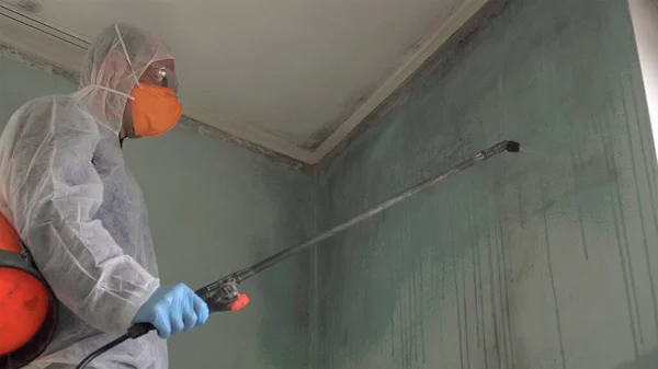 Man sanitizing a house for mold remediation